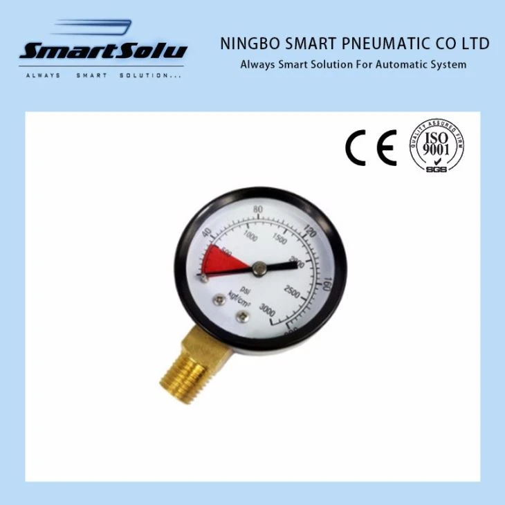 Y60A 200kg 2.5 Inch Brass Bottom Mounting Pressure Gauge And Black Iron Housing